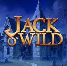 QuickWin | Jack O' Wild